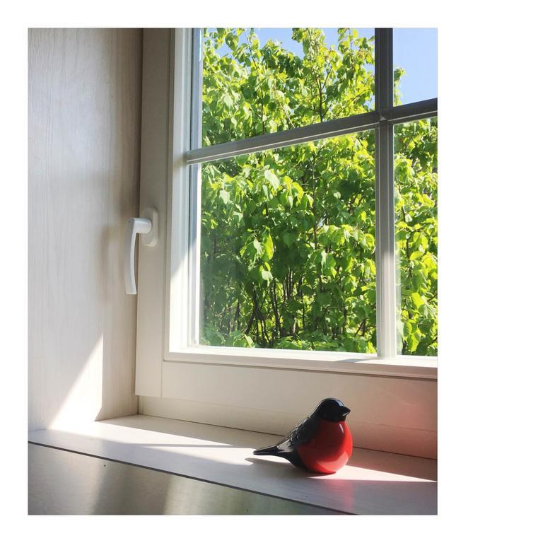 Pāvilosta Cardinalis House 아파트 외부 사진